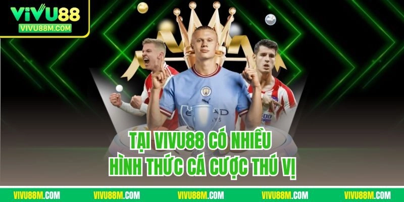 Tại Vivu88 có nhiều hình thức cá cược thú vị